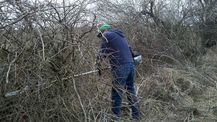 Photos from Trail Cleanup Day